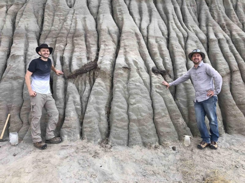 Découverte au Canada d'un fossile de dinosaure avec de la peau