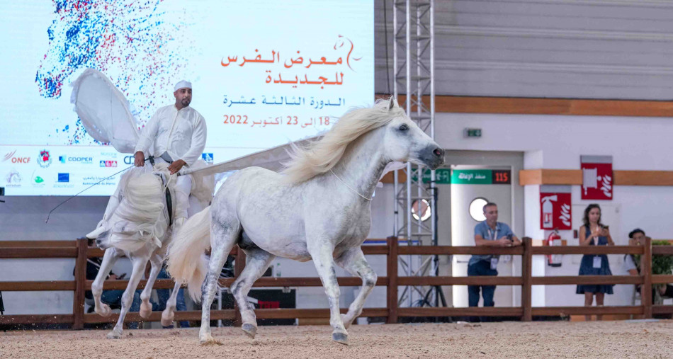 El Bouari: Le Salon du Cheval d'El Jadida met en avant l'importance de la filière équine nationale dans le cadre de la stratégie Génération Green 