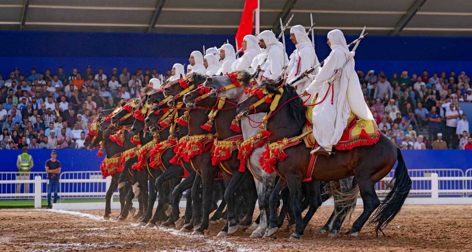 Commissaire du Salon: La 16e édition du Salon du Cheval d'El Jadida renforce la position du Maroc comme destination équestre de premier plan 