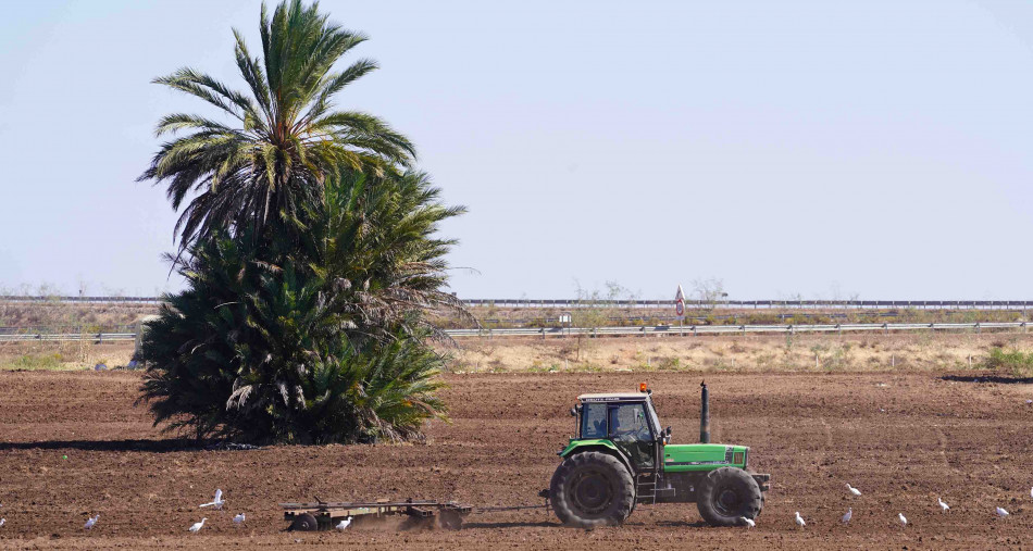 Maroc-UE: l’accord agricole amendé consacre la dynamique de développement dans les provinces du Sud, selon un universitaire espagnol