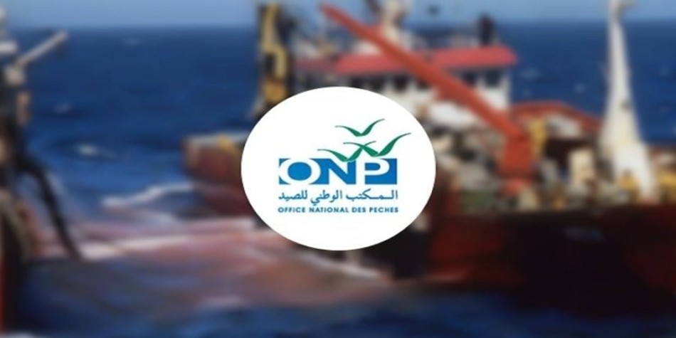 Pêche: les débarquements dépassent 1,5 MT en 2022 