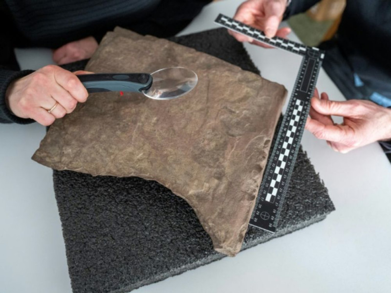 Norvège: Découverte de la plus vieille pierre runique au monde