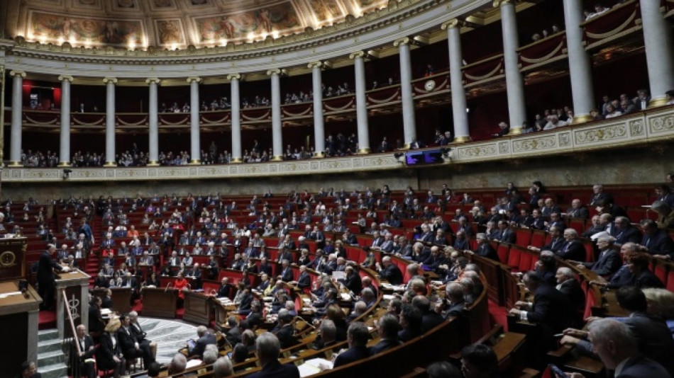 قراصنة روس وراء تعطل موقع البرلمان الفرنسي