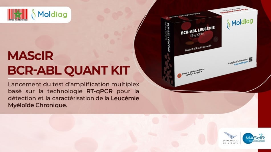 Leucémie Myéloïde chronique: lancement du 1er test de diagnostic 100% marocain