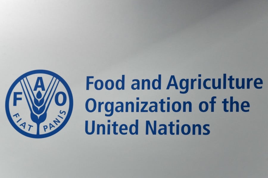 Compléments alimentaires: la FAO pointe les risques sanitaires
