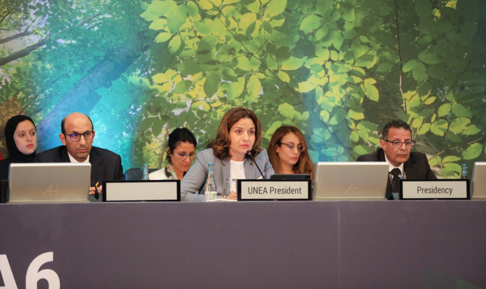 Trois questions à Mme Leila Benali, Présidente de la 6ème Assemblée de l'ONU-Environnement