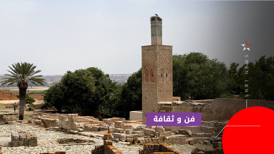 الموقع الأثري شالة