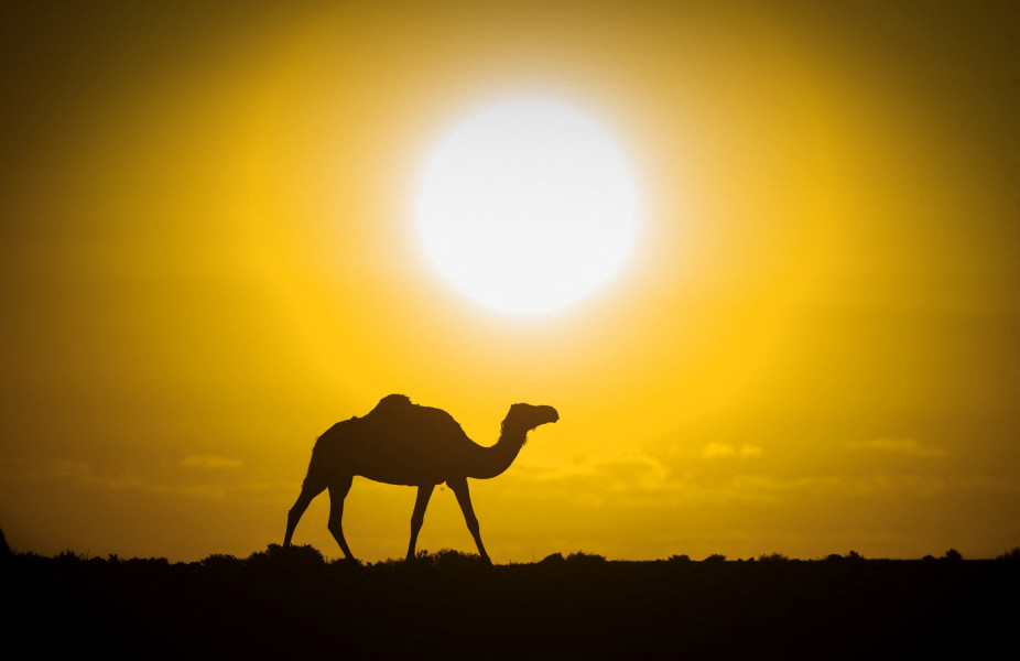 dakhla