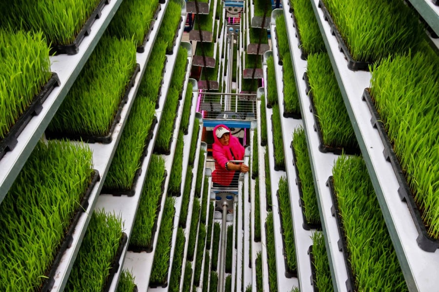 Agriculture
