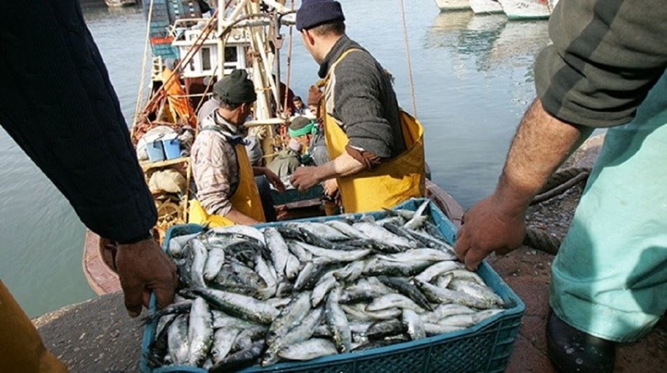 Pêche