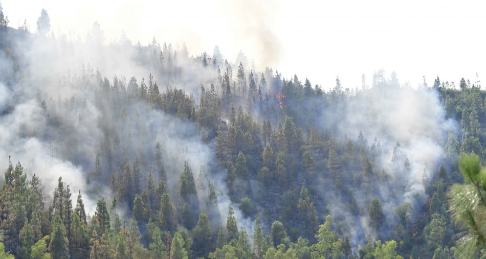 Lutte contre les incendies : L’Espagne réaffirme son engagement à poursuivre sa coopération avec le Maroc