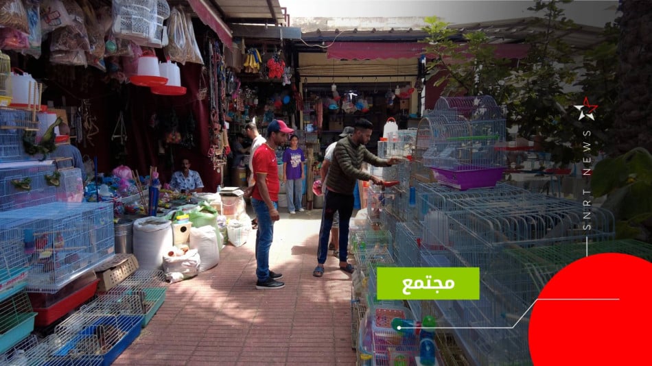 سوق الحيوانات 