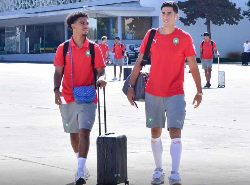 Lions de l'Atlas