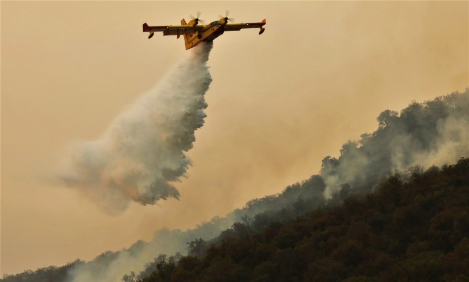 Canadair 
