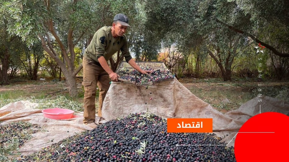 المثمر
