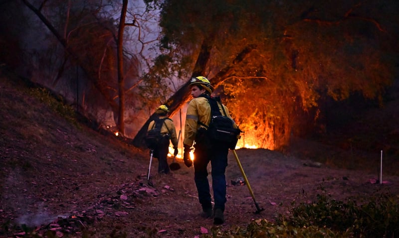 USA: Des feux de forêt ravagent plus de 800 hectares en Caroline du Nord