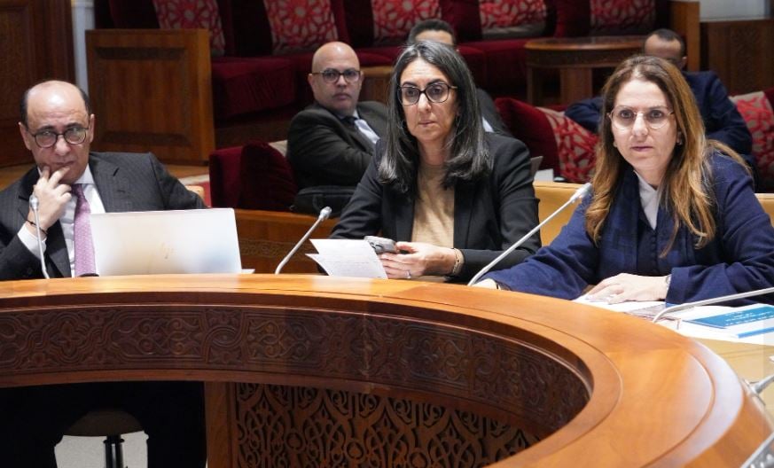 اجتماع لجنة المالية والتنمية الاقتصادية بحضور  المدير العام لـCNSS