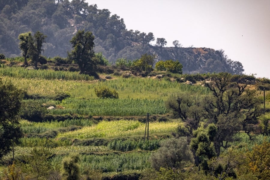 Pluie de mars: Est-il temps de changer le modèle d’agriculture au Maroc?