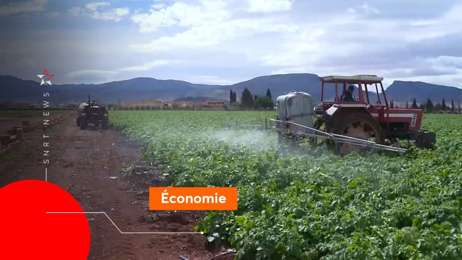 Agriculture