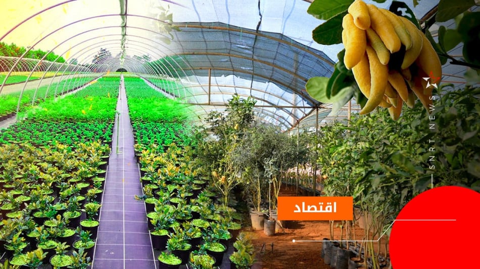 الزراعة الاستوائية