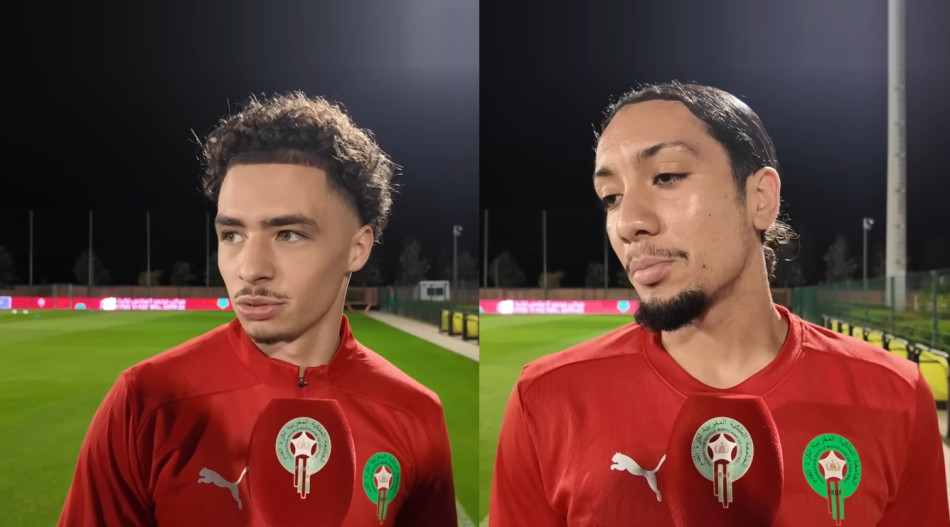 les lions