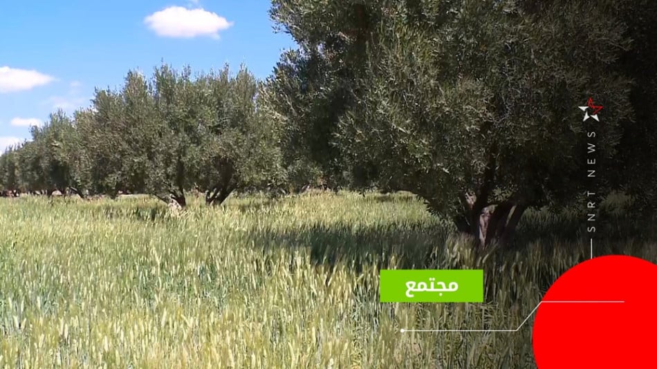 أمطار مراكش