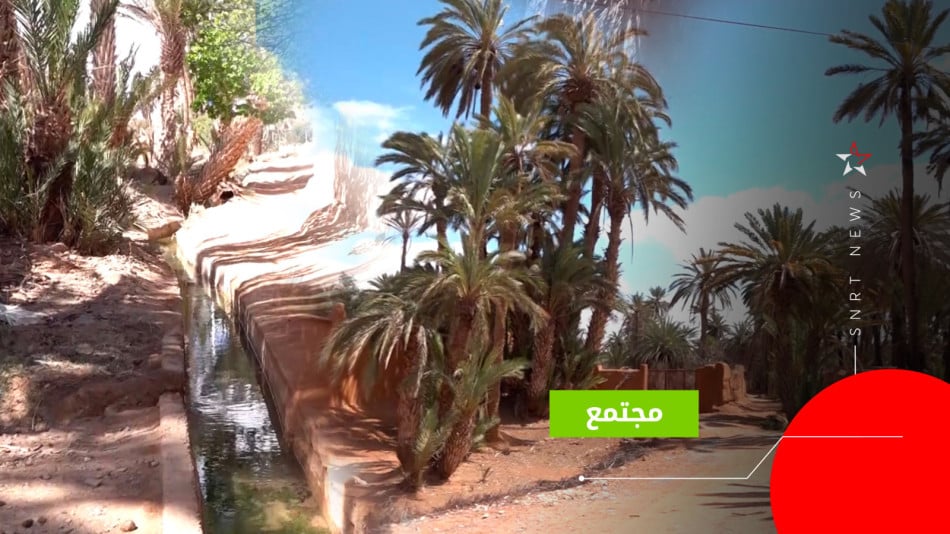 oasis