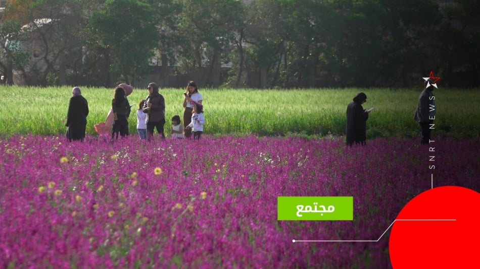 غابة الشلالات المحمدية