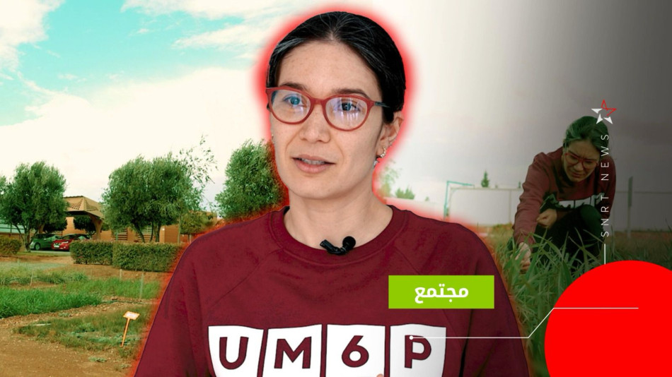 منال المهادى