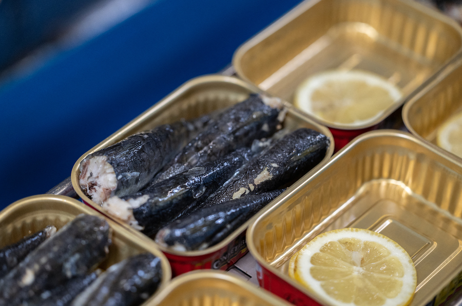 En France, la sardine en boîte mise à mal par le changement climatique