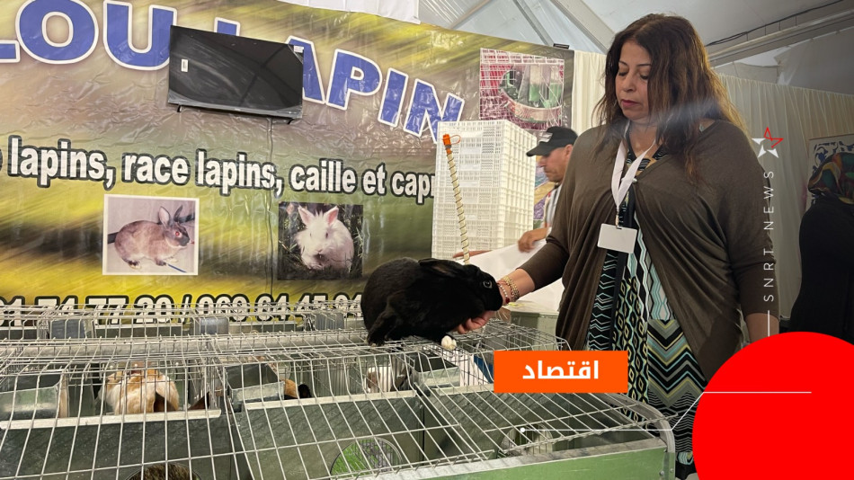 Lahlou lapin