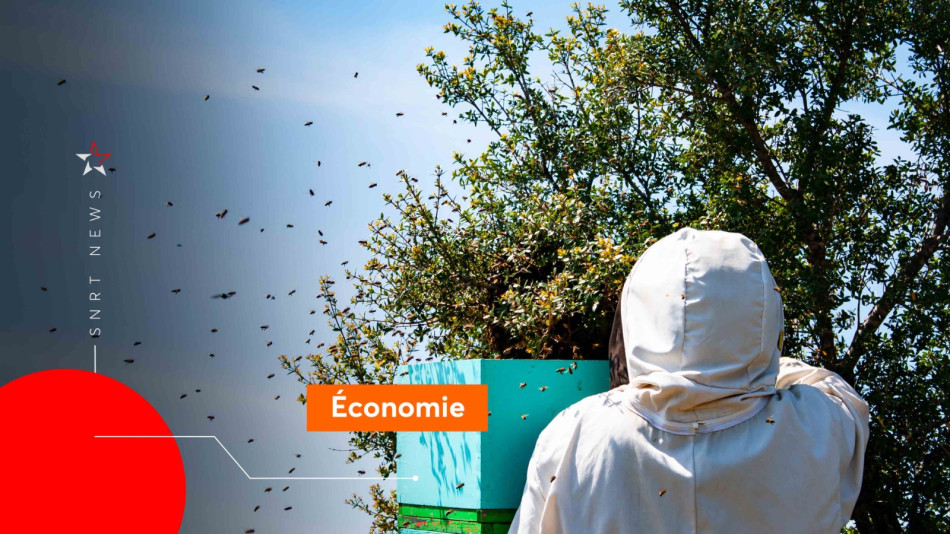 Apiculture 