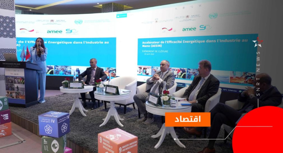 مشروع التسريع الصناعي AEEMI 