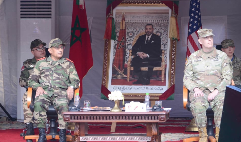 الأسد الإفريقي