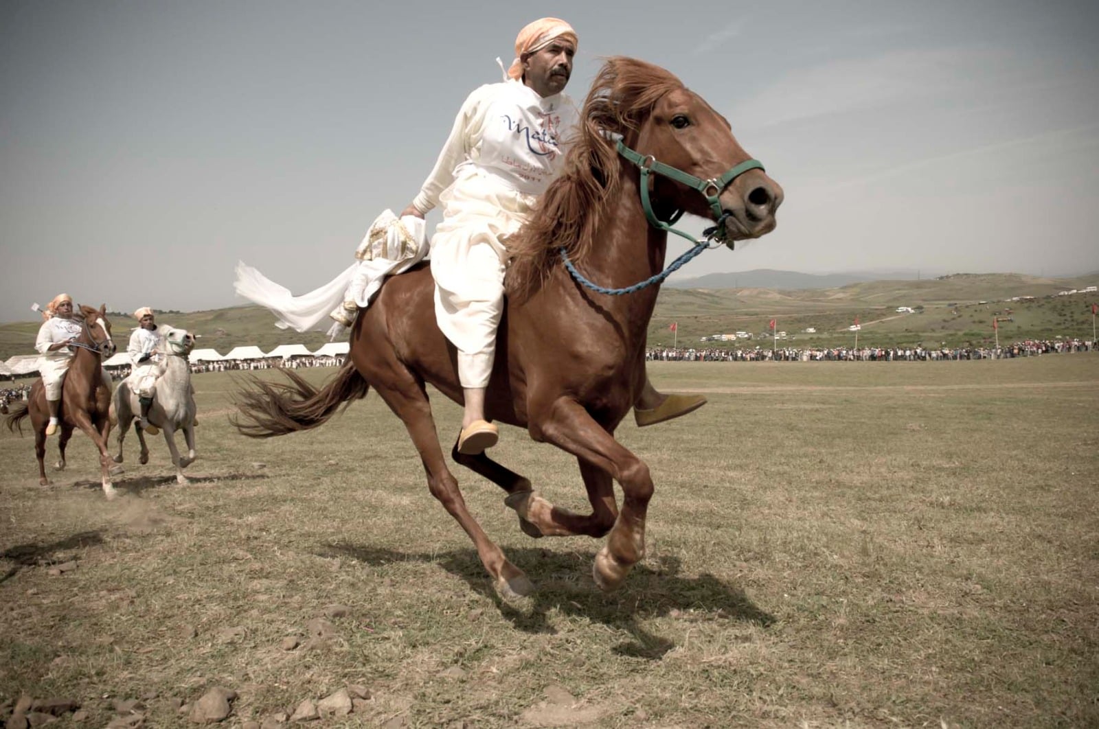 مهرجان الفروسية