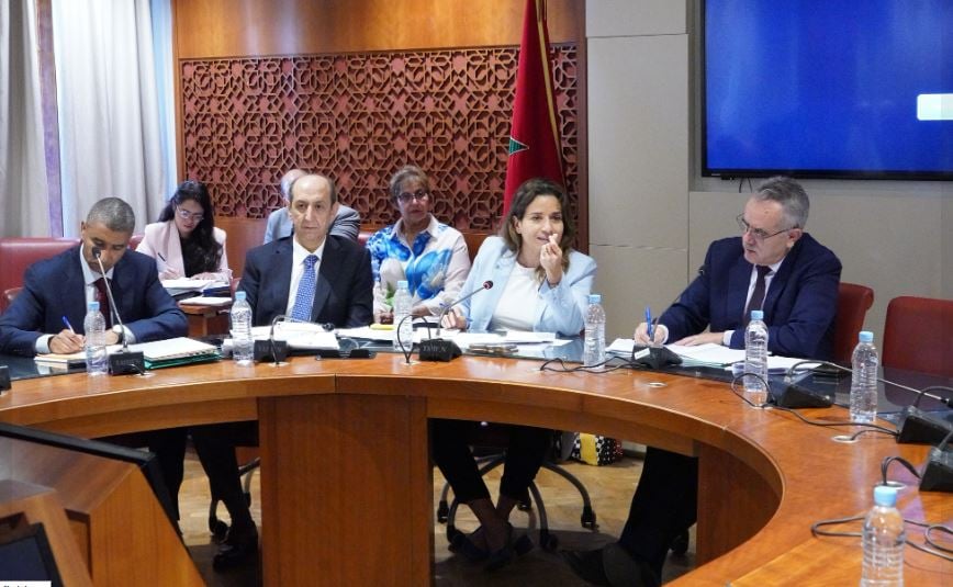 لجنة مراقبة المالية العامة والحكامة - ليلى بنعلي