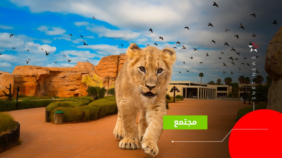 zoo