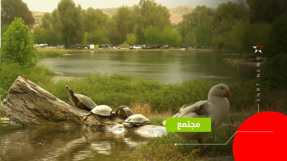 بحيرة أمغاس