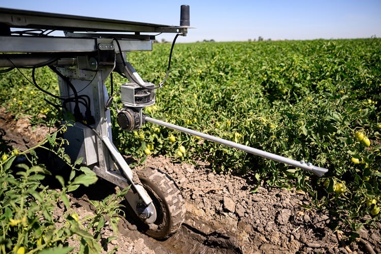 En Californie, des robots désherbants pour limiter l'utilisation des pesticides