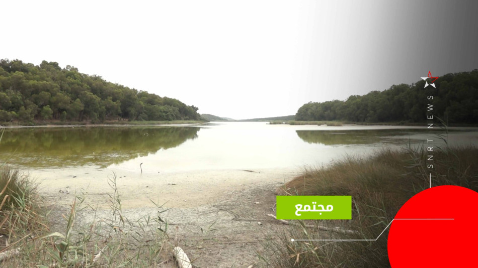 وبغابة