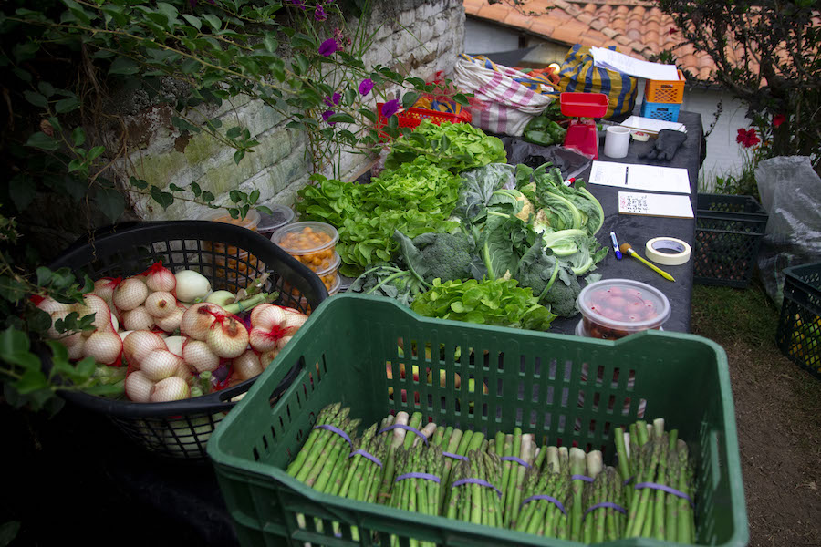 Les produits bio