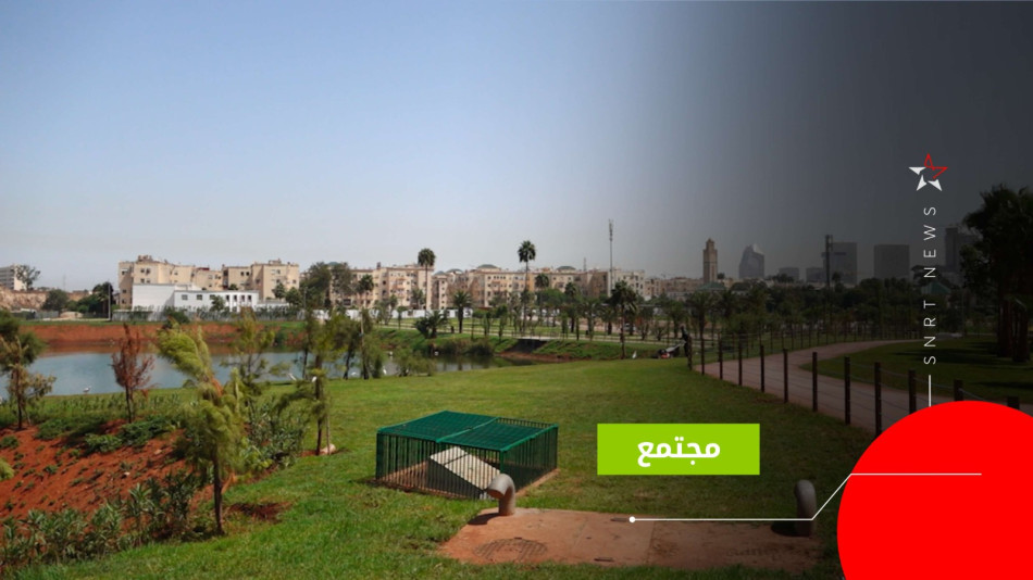 ضاية الولفة