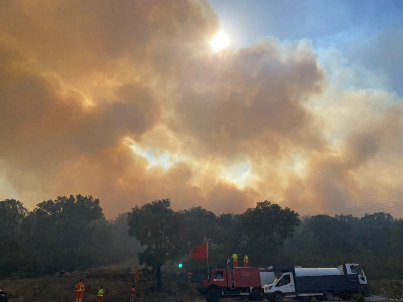 Chefchaouen: L’incendie de forêt détruit 500 hectares, trois foyers sur quatre maîtrisés 