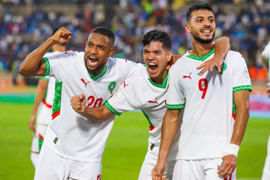 Lions de l'Atlas locaux