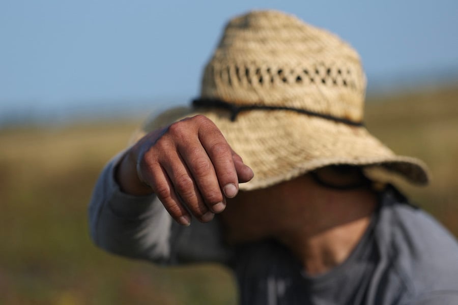 Changements climatiques