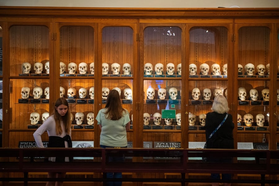 Foetus et squelettes: dans un musée américain, des restes humains au coeur d'un débat éthique