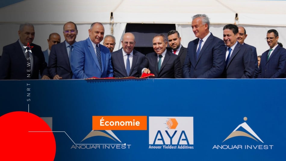 Anouar Invest