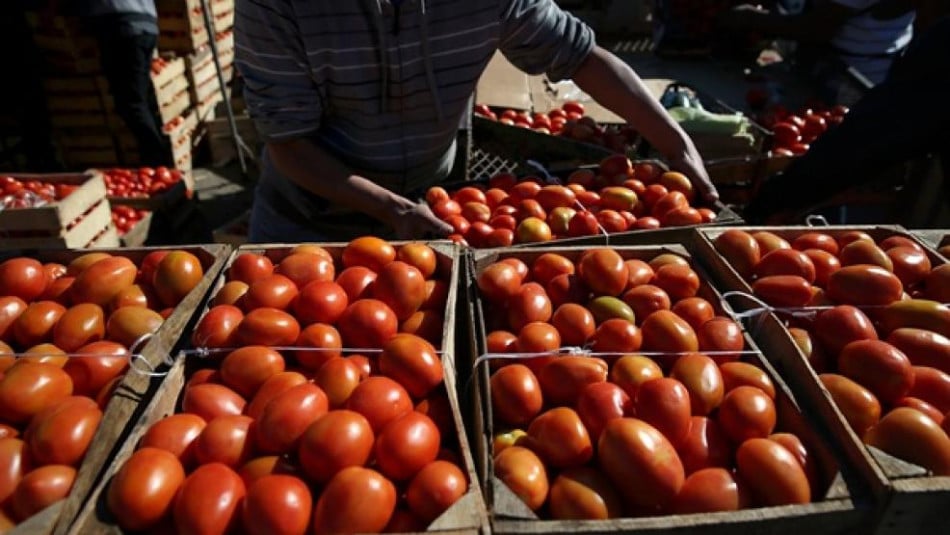 A-t-on découvert des "métaux lourds" dans des cargaisons de tomates marocaines aux Pays-Bas?