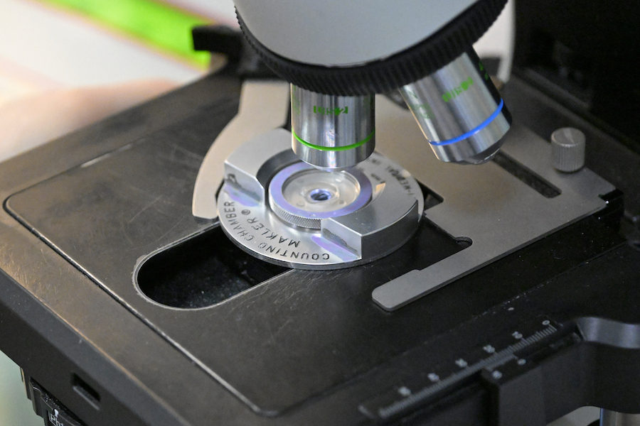 Créer des ovules artificiels, une piste contre l'infertilité?