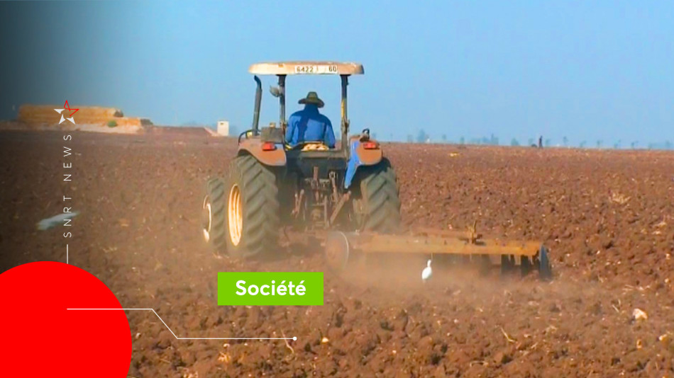 Agriculture